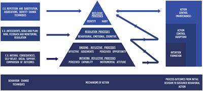 Multi-Process Action Control in Physical Activity: A Primer